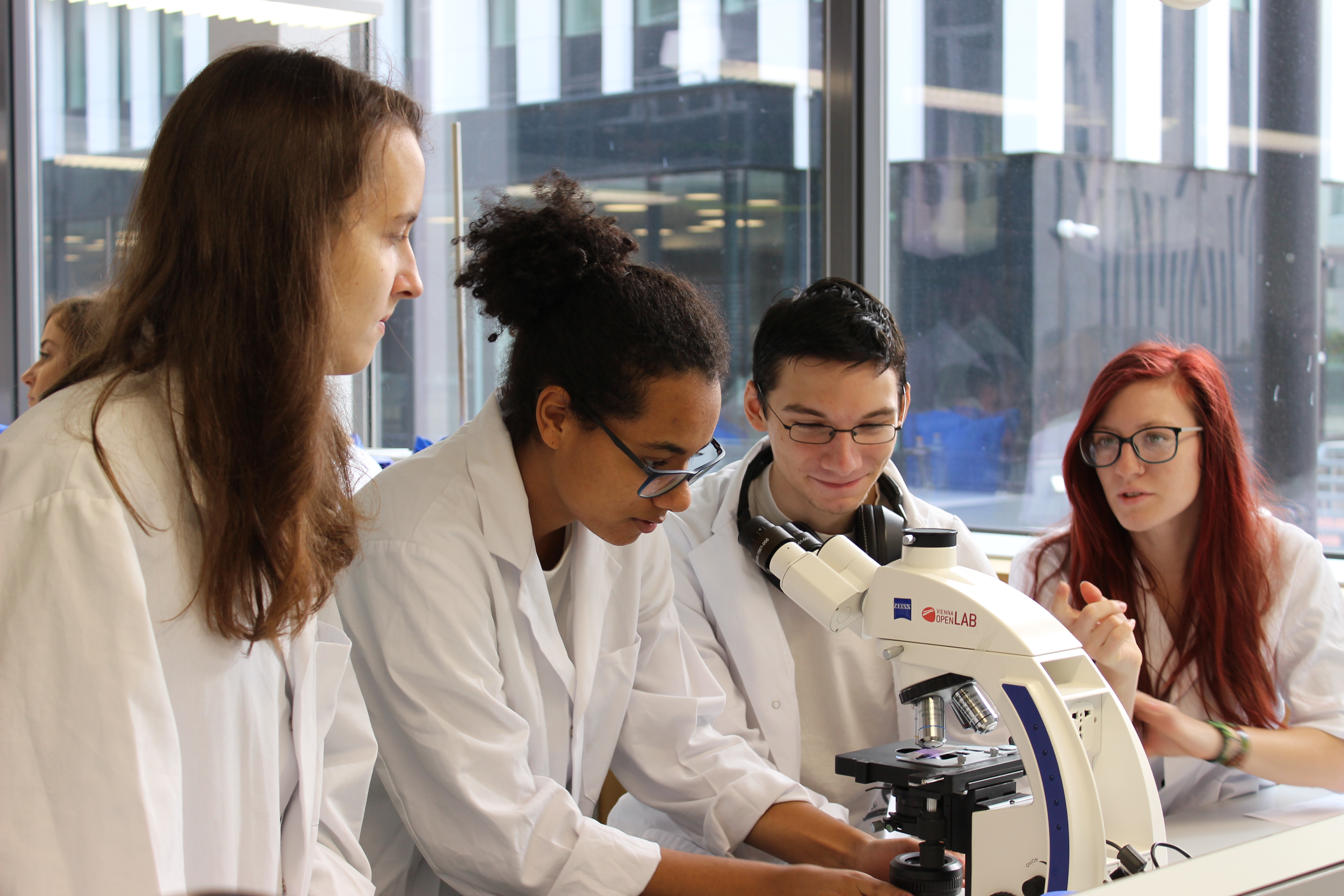 Medical University of Vienna/Mildner