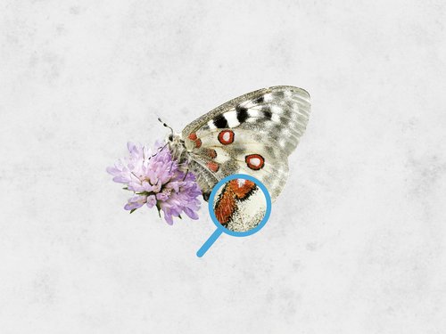 Citizen Science Awards 2016