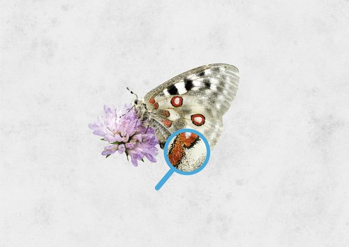 Citizen Science Awards 2016