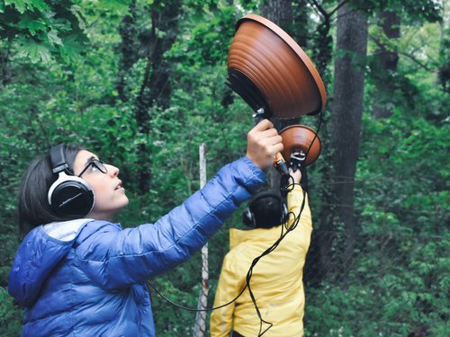 Forest Groove: Biodiversität im Wald gemeinsam erforschen!