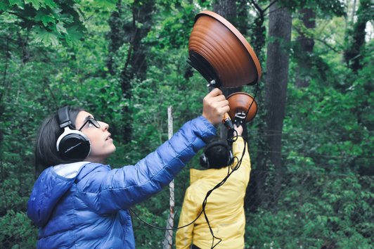Forest Groove: Biodiversität im Wald gemeinsam erforschen!